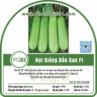 Bộ 2 gói Hạt Giống Bầu Sao F1 Vietgro VG01