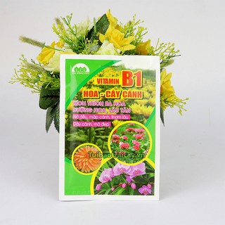 Phân bón vitamin b1 cho cây cảnh gói 30g - t179