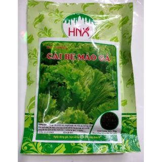 Hạt giống rau cải bẹ mào gà, cải tỉa lá