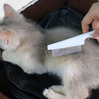 Lược chải ve rận chó mèo