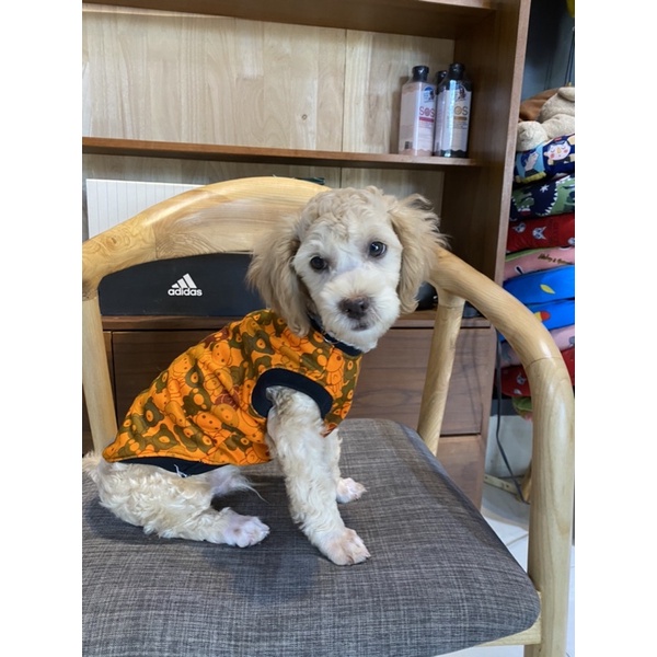 Áo ba lỗ cho chó mèo