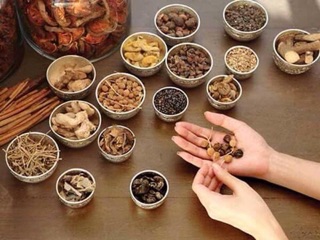 Con lăn ngải cứu