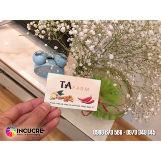 [THIẾT KẾ MẪU NHANH] 500 name card thiết kế Free