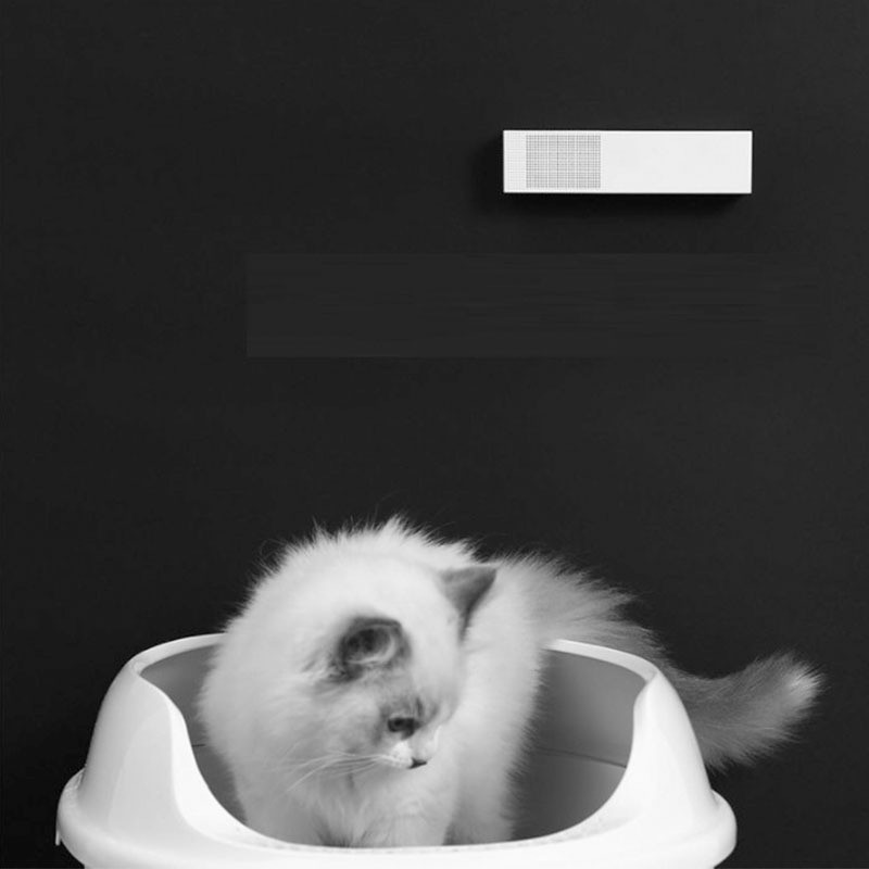 PETKIT PURA AIR Máy Khử Mùi PetKit Cho Chó Mèo Thông Minh