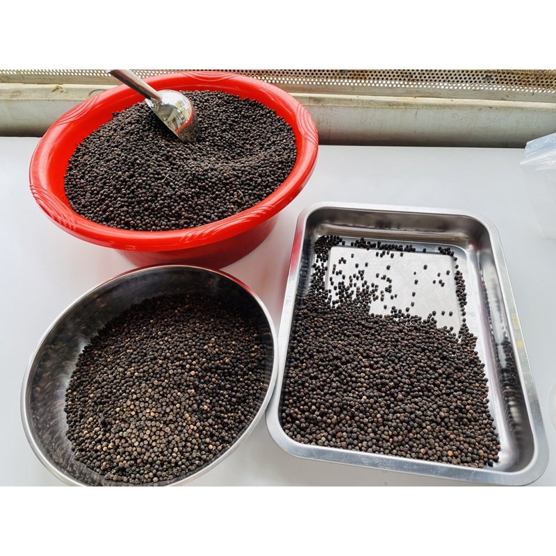 Hạt tiêu đen đăk-nông nhà trồng, hạt to