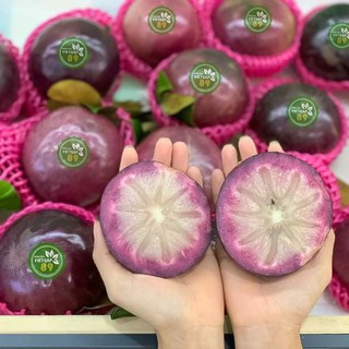 Vú Sữa  Mika....chuẩn giống