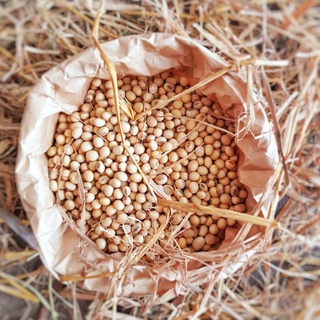 Đậu nành quê nguyên hạt - 0,5kg