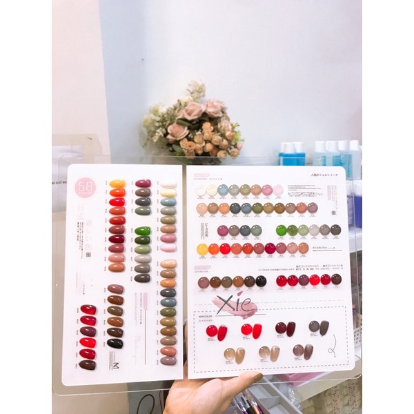 SET SƠN MODENGNI 58 MÀU - XIE dụng cụ nail&amp;mi