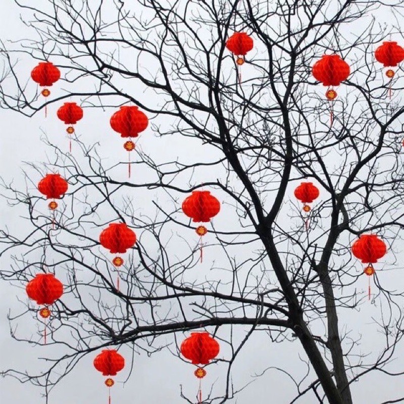 Combo 100 đèn lồng trang trí