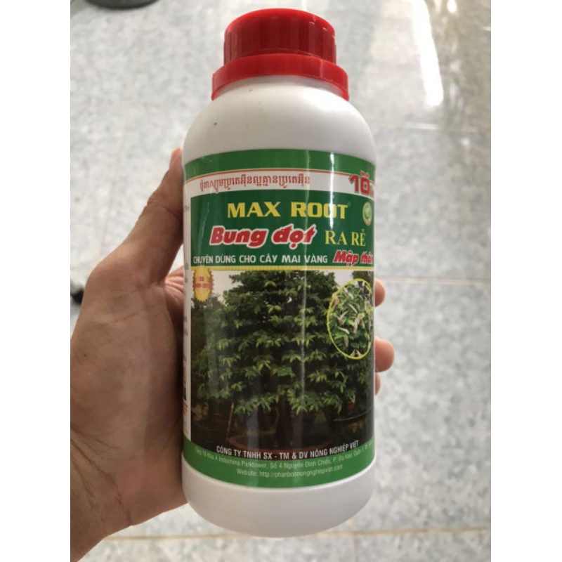 Phân Bón Lá Max Root - Bung Đọt Ra Rễ Mai Vàng (500ml), Chuyên dùng cho mai vàng