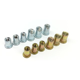 100 cái Ốc tán rút M5 thép mạ