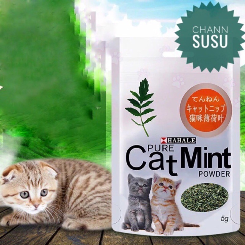 Cỏ Bạc Hà cho Mèo Catnip Hahale -CatMint 5gr
