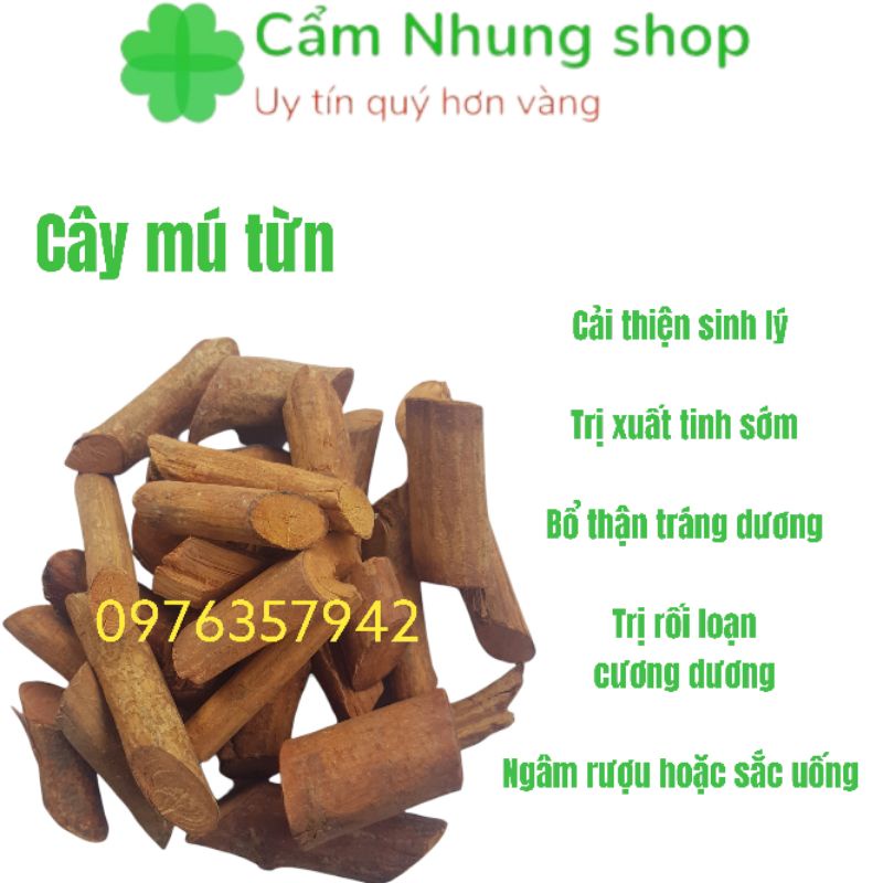 Cây mú từn ngâm rượu bổ thận tráng dương, tăng cường sinh lý nam