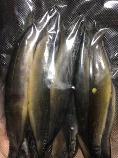 Khô cá chạch 500g /230k