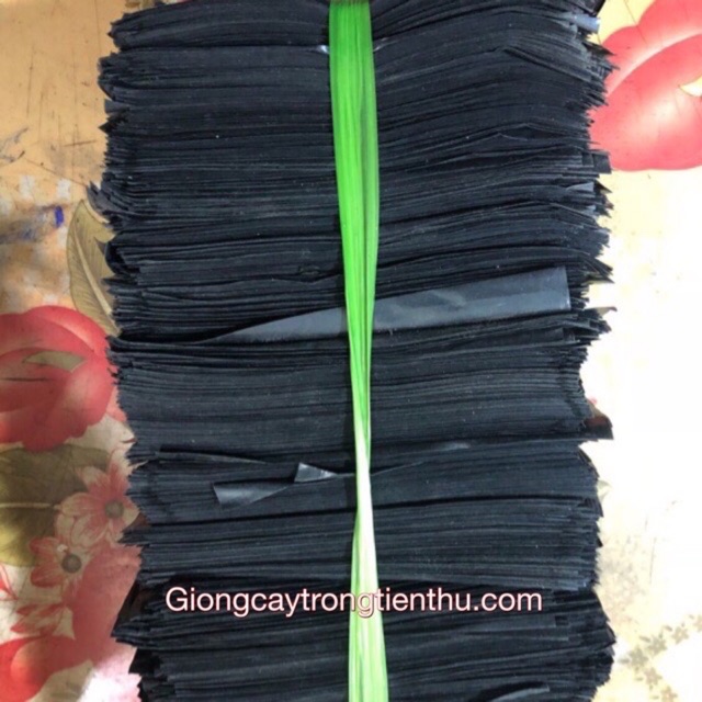 TÚI BẦU ƯƠM CÂY GIỐNG (13x15cm) 1kg