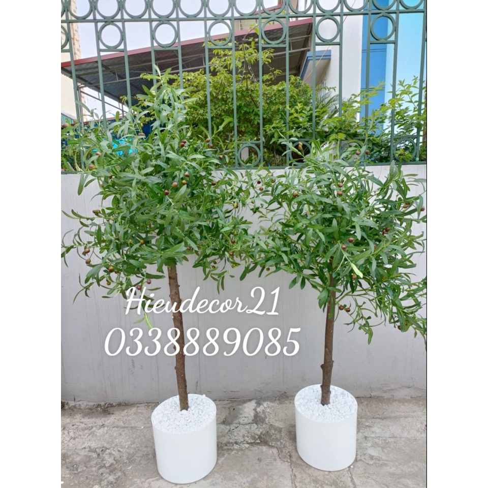 Cây Oliu giả trang trí nhà cửa. hàng THIẾT KẾ, thân gỗ đẹp giống thật 99, đủ kích thước, phù hợp decor mọi không gian