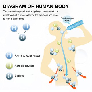 Bình Tạo Nước Hydrogen Tiện Lợi