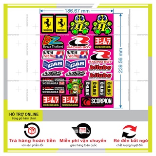 SHINDECAL- LOGO STICKER DÁN XE MÁY M72
