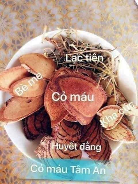 (CHÍNH HÃNG CỎ MÁU TÂM AN QUANG BÌNH