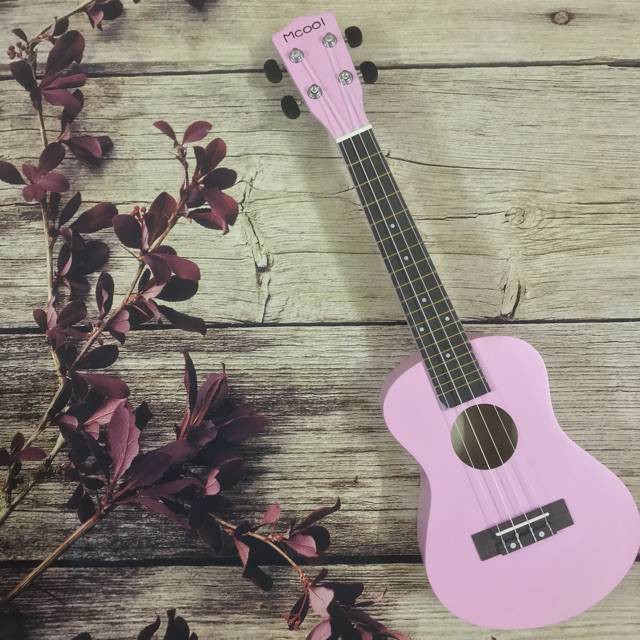 Đàn Ukulele Concert Woim Size 23 Inch Đủ Màu