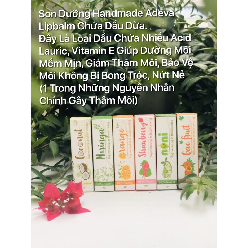 Son dưỡng môi chùm ngây Adevanoni