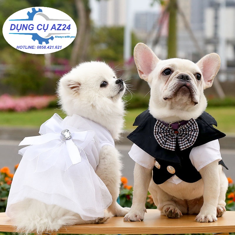 Áo vest và váy đám cưới dành cho chó mèo