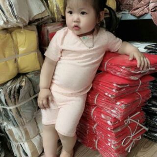 bộ Carter hè