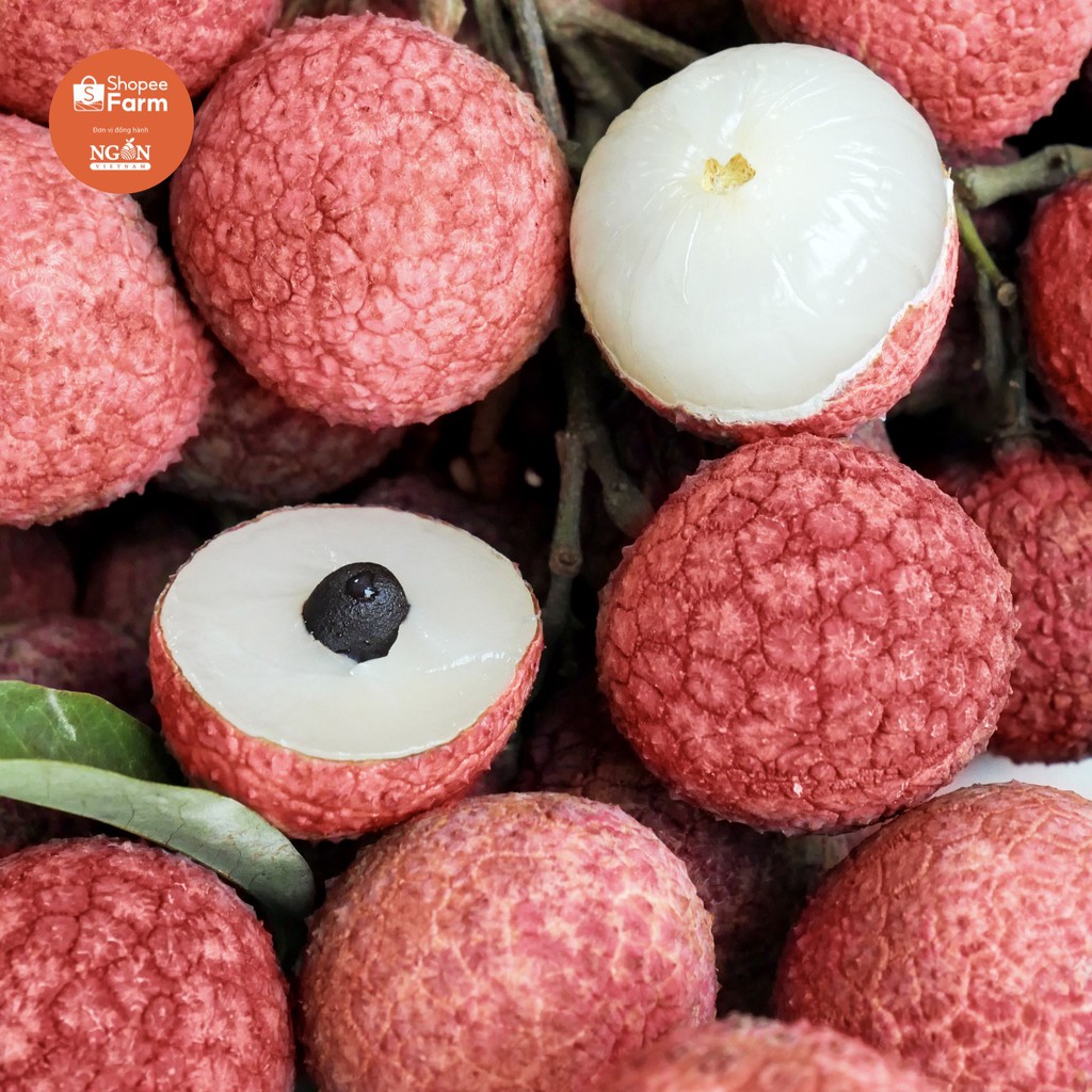 [HN] 1kg VIP PRO Vải thiều Lục Ngạn tiến vua thượng hạng ngọt sắc thơm mọng | BigBuy360 - bigbuy360.vn