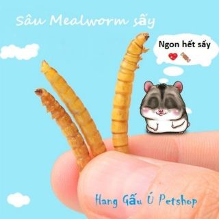 Sâu Mealworm sấy cho hamster- 100gram