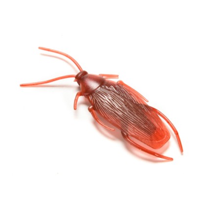 💥HÀNG CÓ SẴN💥 Con Gián Giả Đồ Chơi Côn Trùng Giả Cho Trẻ em Boss Chó Hoàng Thượng Mèo 💥CHỌN MẪU💥 001564