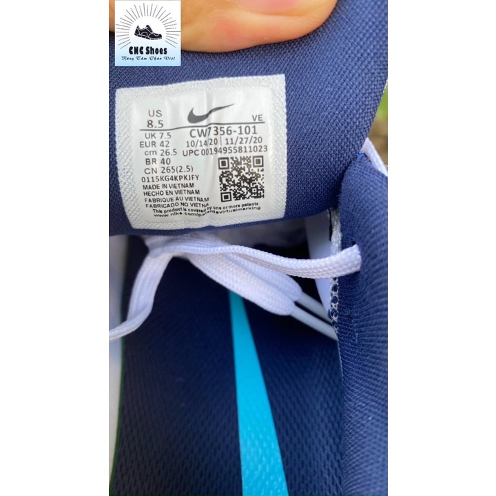 Giày Nike Pegasus 38 Authentic Nam CW7356-101