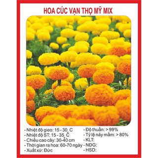 Combo Hạt Giống 200K
