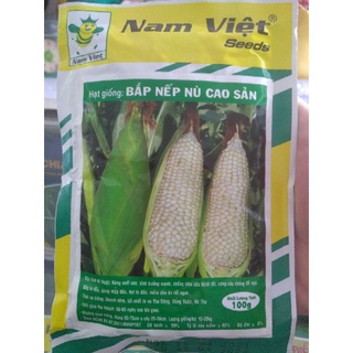 Hạt giống bắp nếp nù