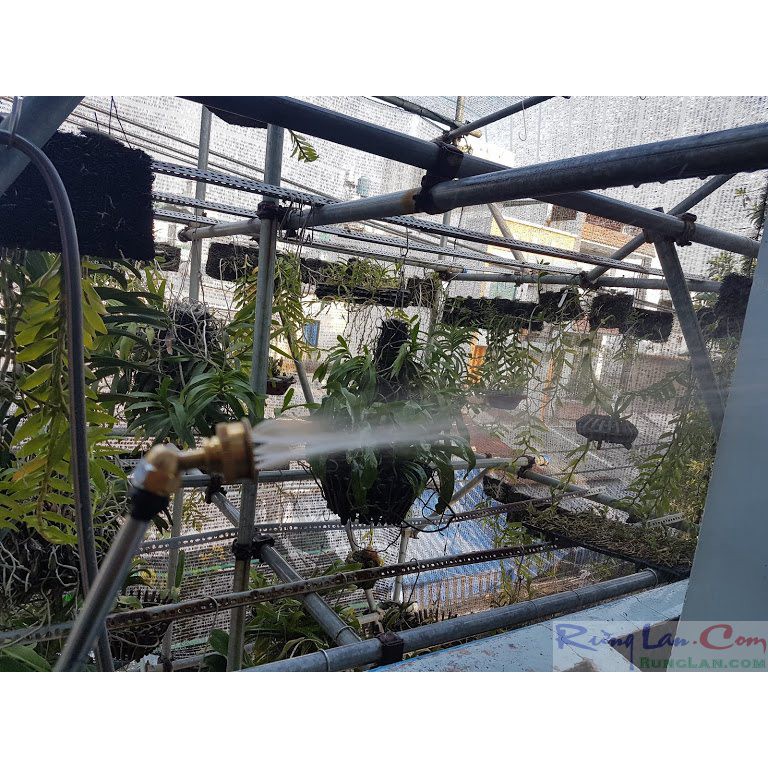 Béc phun 5 lổ kiểu cong/ kiểu thẳng 8mm/13mm/21mm