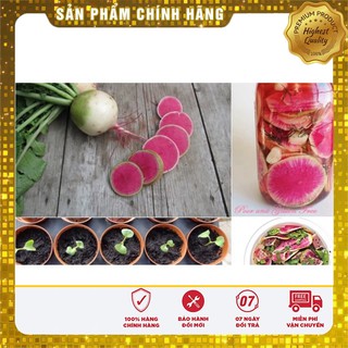 Hạt Giống Củ Cải Dưa Hấu ( 2 gram)