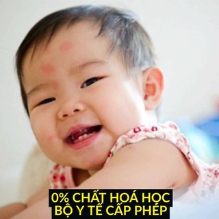 Chế phẩm thảo mộc diệt muỗi, kiến, gián