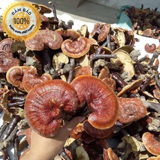 200g nấm linh xanh