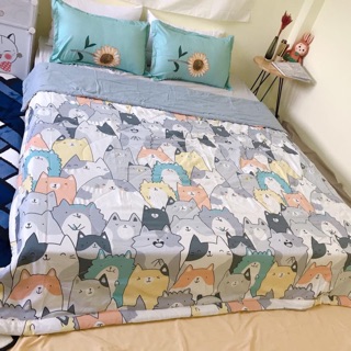 [GIÁ RẺ]Chăn Cotton đũi hè