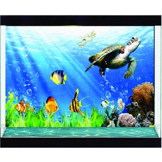 Decal dán hồ cá - hồ thủy sinh - 3d - decal sài gòn