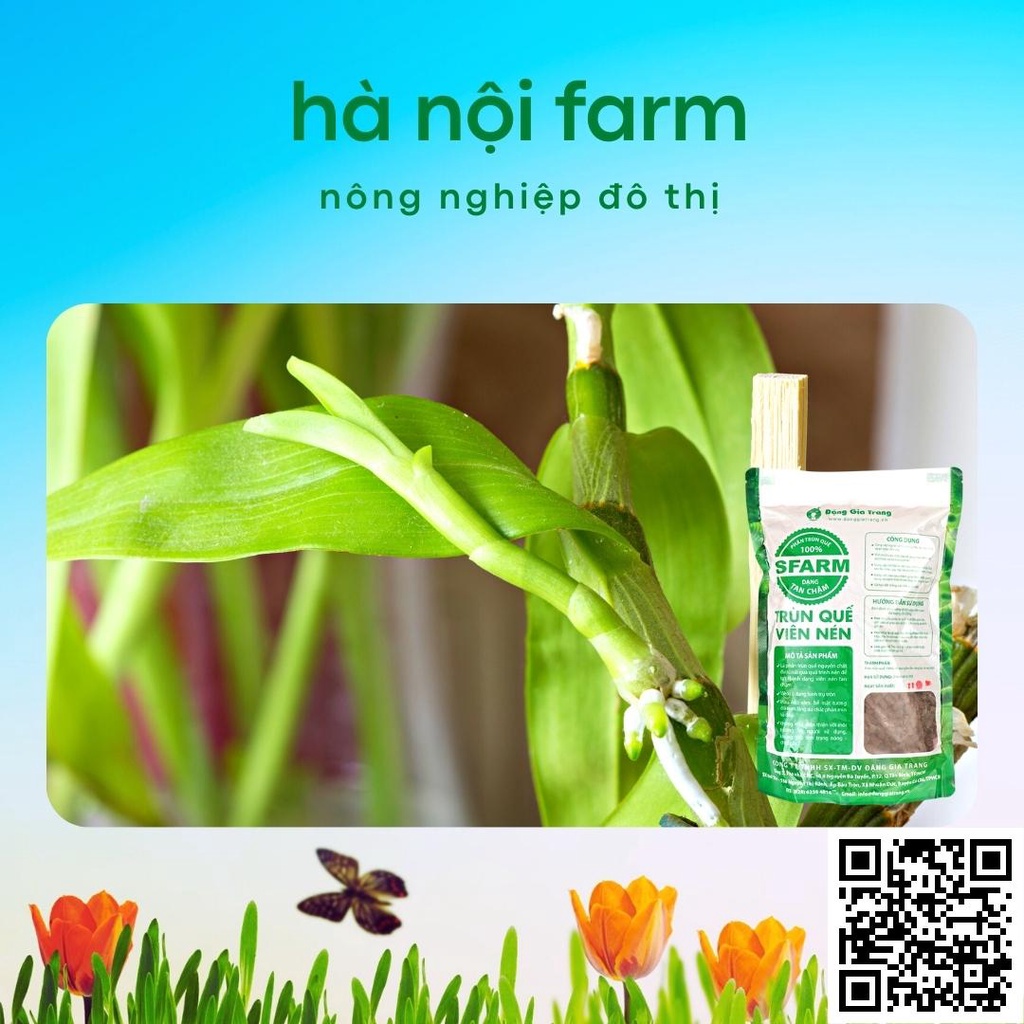 Phân trùn quế dạng VIÊN Sfarm Đặng Gia Trang 1kg, phân tan chậm dành cho hoa lan cây cảnh