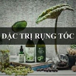 Bộ dầu gội ngăn rụng tóc Amla