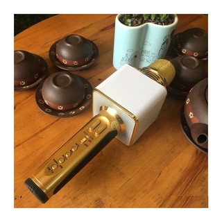 Micro Hát Karaoke Sd09 Âm Cực Chuẩn - Bh 3 Tháng - Hoàng Yến Computer