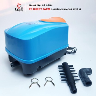Máy sục khí oxy bể cá periha super blow air pump mb-4000
