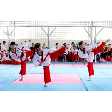 Võ Phục Taekwondo Đồ Võ Thái Cực Đạo Loại Quyền -Vải Sọc ailaikit