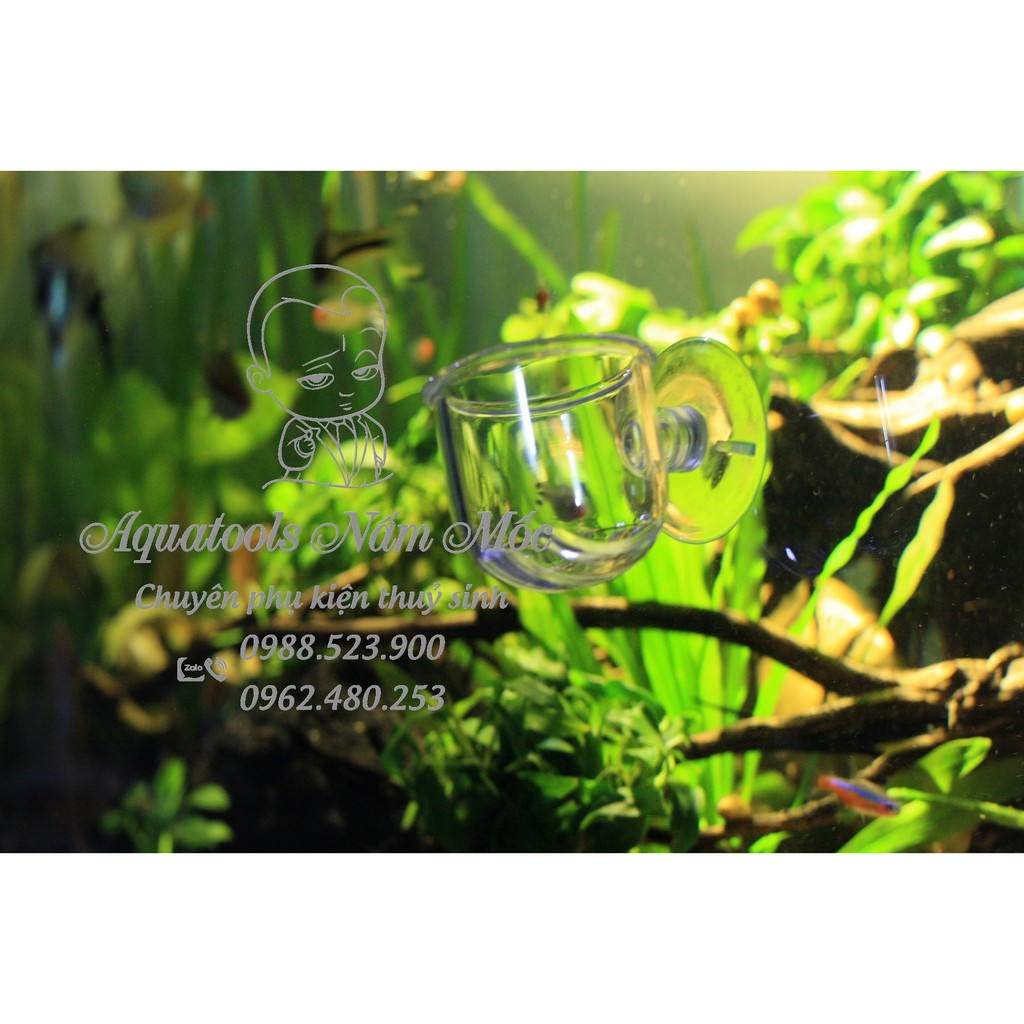 Cốc Trùn Thuỷ Tinh | Cốc Đựng Trùn Cho Cá Ăn | Phụ kiện thuỷ sinh Nấm Aquatools