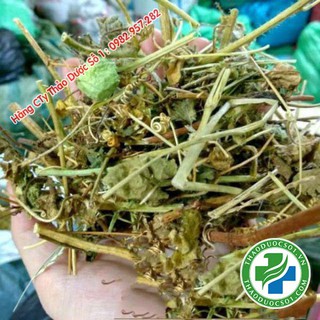 Cây Nhãn Lồng Khô ( Lạc Tiên hay Chùm bao) - 1kg TDSO1