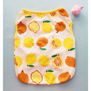 Áo sát nách 3 lỗ "🍋 trái chanh vàng 🍋" cho chó bull/pug