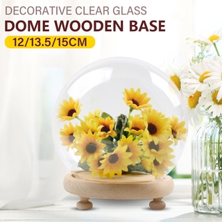 Lọ thủy tinh đế gỗ dùng trưng bày cây cảnh trang trí độc đáo 12/13.5/15cm