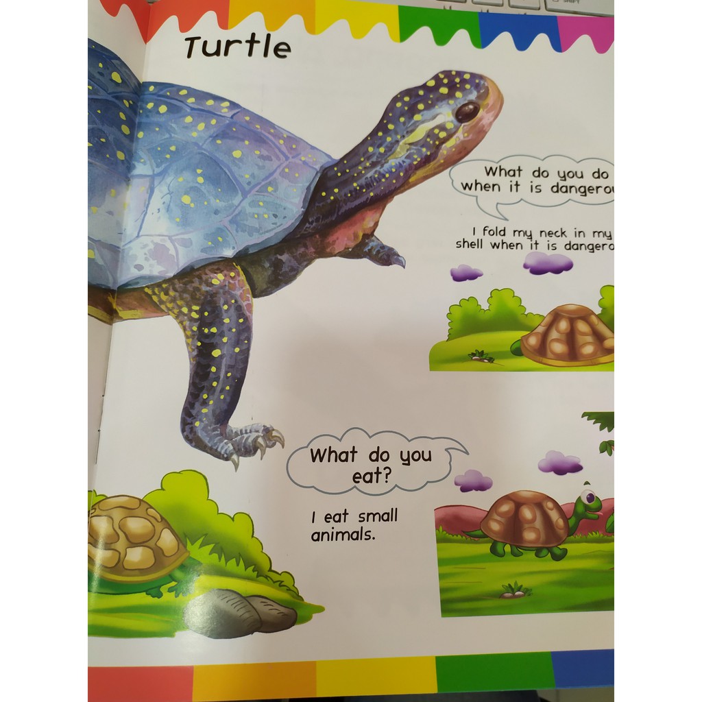 Sách - My First Questions & Answers - Reptiles & Amphibians - 8935072923242 | BigBuy360 - bigbuy360.vn