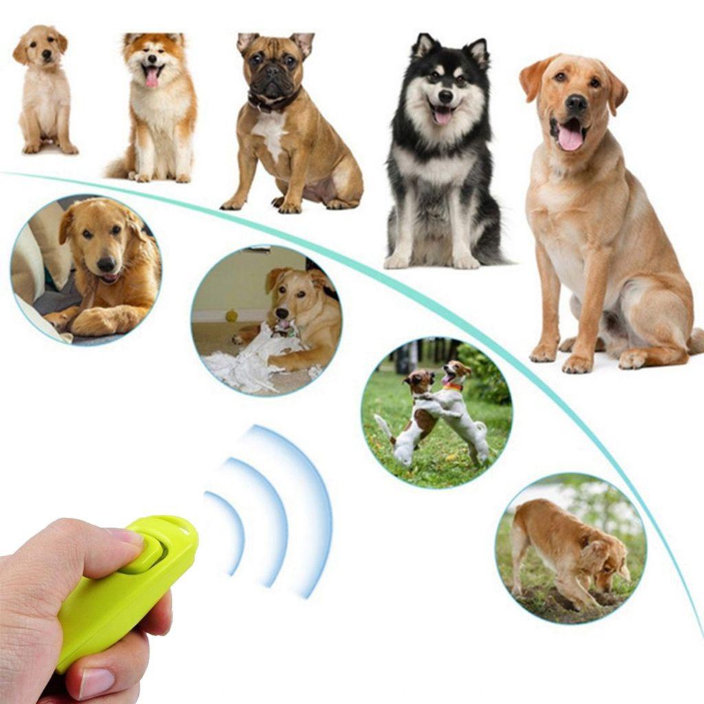 Thiết Bị Huấn Luyện Chó Phát Ra Âm Thanh Trong Suốt